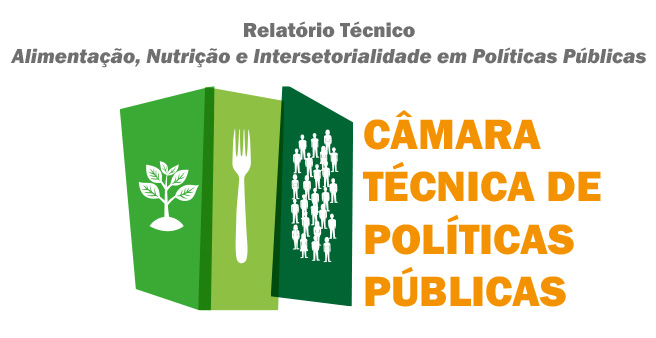 Financiamento das políticas públicas e impactos nas instâncias de